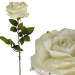 PE ROSA PREMIUM VELUDO