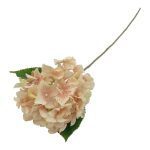 ARTIFICIAL PE HYDRANGEA FROST COR:CORAL