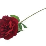 PE PEONIA VELUDO COR:VERMELHO