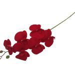 PE PHALENOPSIS VELUDO X6 COR:VERMELHO