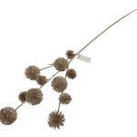 PE ECHINOP METALIZADO COR:CHAMPAGNE