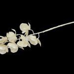 ARTIFICIAL PHALENOPSIS X7 COR:PEROLA