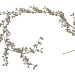 GRINALDA BERRY COR:CHAMPAGNE