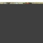 CELOFANE BICOLOR LETTERS 80CMX40MTS COR:BEGE