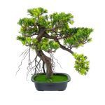PLANTA ARTIFICIAL "PODOCARPUS BONSAI" COR VERDE