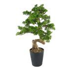 PLANTA ARTIFICIAL "AGLAIA" COR VERDE