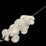 ARTIFICIAL- PHALENOPSIS 90CM COR:CREME