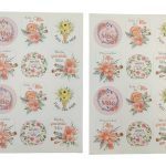 ETIQUETA BLISTER C/2 FOLHAS L.15X20ALT MAE