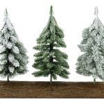 BASE MADEIRA C/PINHEIROS