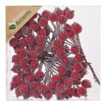 BERRY CRISTALIZADOS CX.C/12 COR:VERMELHO