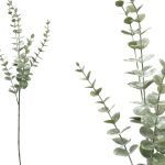 HASTE EUCALIPTO COR:VERDE