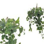 HERA ARTIFICAL 303 FOLHAS