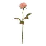 PE ROSA FRANCESA DRY COR:ROSA