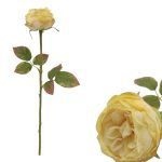 PE ROSA FRANCESA DRY COR:AMARELO