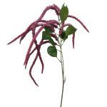 PE AMARANTHUS COR:LILAS