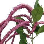 PE AMARANTHUS COR:LILAS