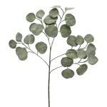 PE EUCALIPTO DOLER COR:CINZA