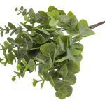 MOLHO EUCALIPTO 15 PES COR:VERDE