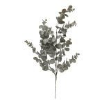 PE EUCALIPTO X12 COR:CINZA