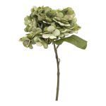 PICO HORTENSIA COR:VERDE