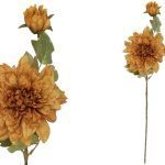 ARTIFICIAL-DALIA SECA