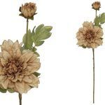 ARTIFICIAL-DALIA SECA