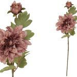 ARTIFICIAL-DALIA SECA