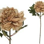 ARTIFICIAL-PEONIA SECA