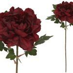 ARTIFICIAL-PEONIA SECA