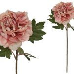 ARTIFICIAL-PEONIA SECA