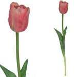 ARTIFICIAL- TULIPA COR:ROSA