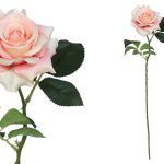 ARTIFICIAL- PE DE ROSA