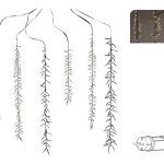 CASCATA DE LUZES 480LD C/1.00MT ALTURA