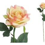 ARTIFICIAL- PE DE ROSA