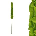 ARTIFICIAL-MOLUCELLA