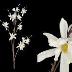 ARTIFICIAL- MAGNOLIA STELLATA COR:BRANCO