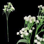 ARTIFICIAL-PE GYPSO COR:BRANCO