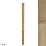 CANA BAMBU COR:NATURAL
