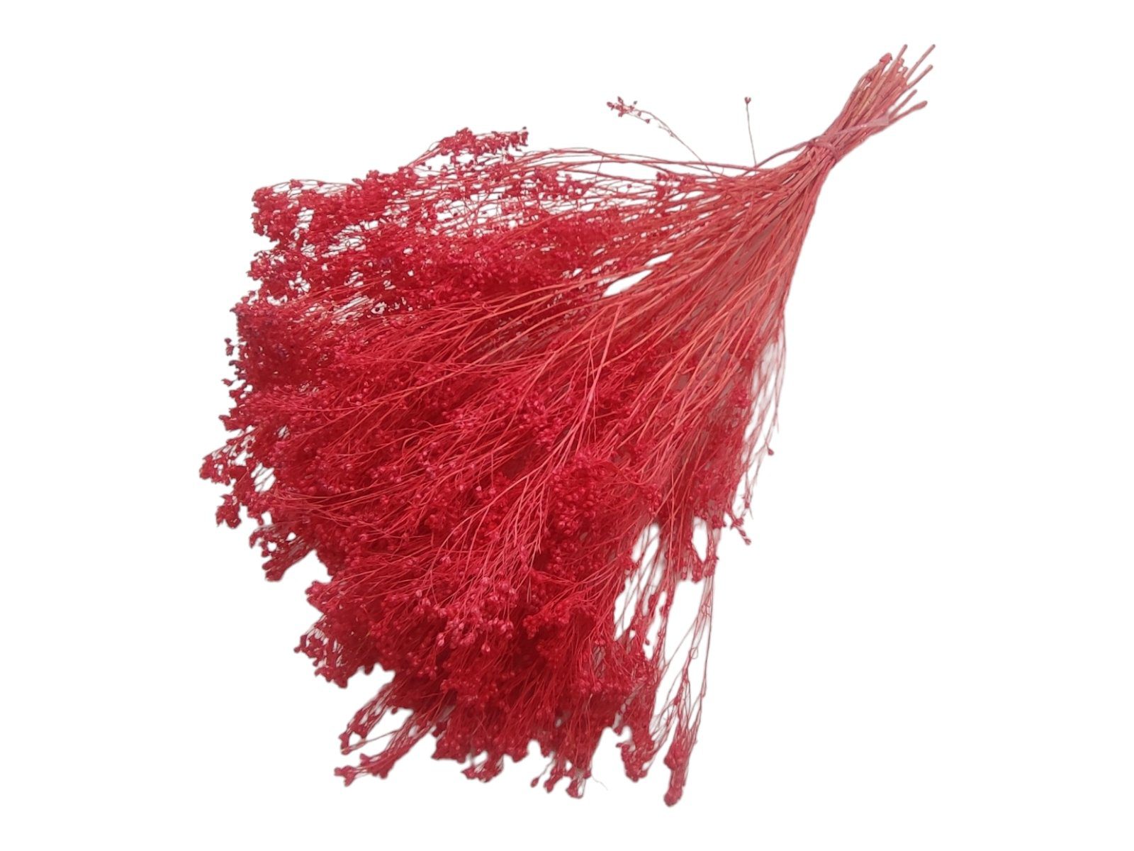 97.000029 BROOM BLOOM MOLHO 100GR COR:FUCSIA - Image 1