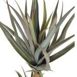 PLANTA ARTIFICIAL 