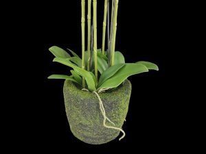 PLANTA ARTIFICIAL 