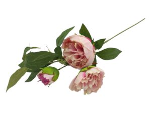 PE PEONIA X3 75CM