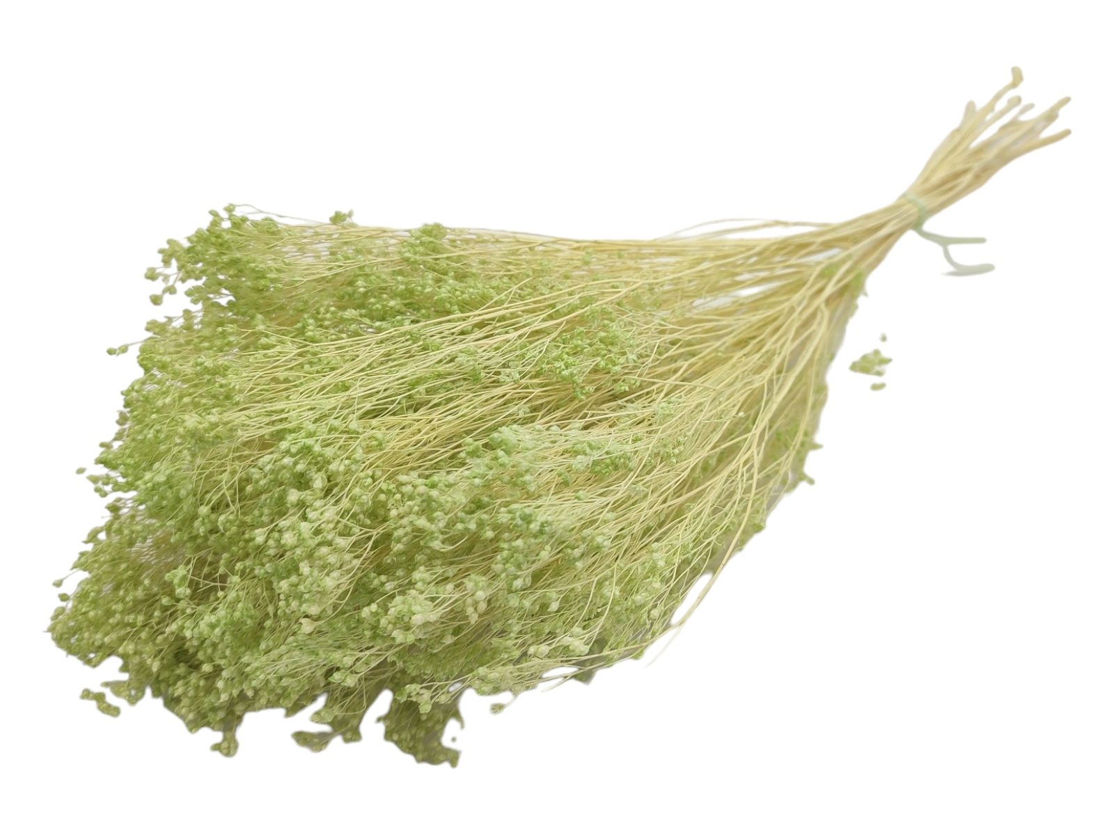 6325-5 verde primavera BROOM BLOOM MOLHO 100GR COR:VERDE - Image 1
