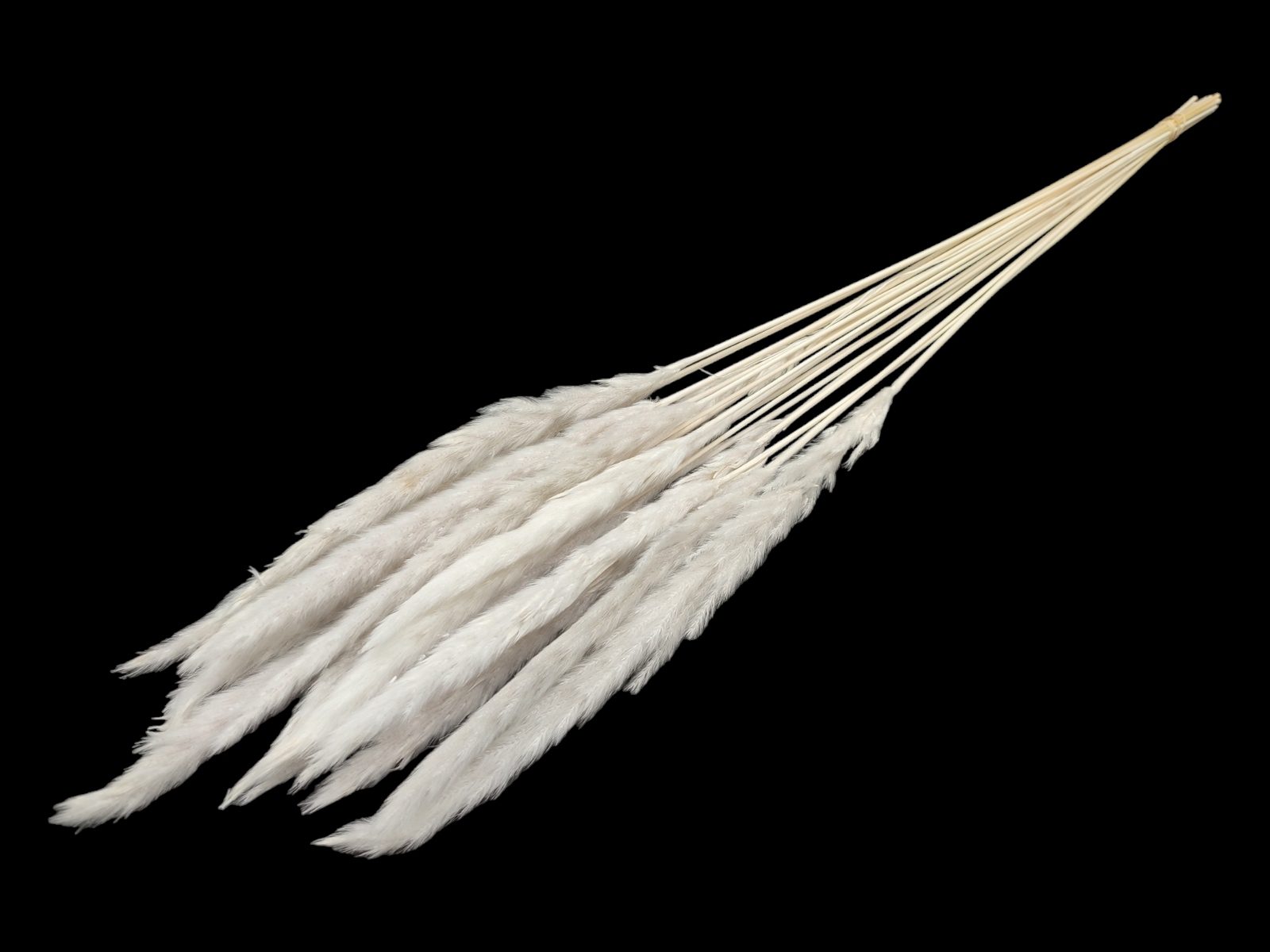 7079-5 BIANCO PAMPAS MINI 20UNID 80CM COR:BRANCO - Image 1