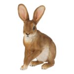 COELHO RESINA COR:CASTANHO