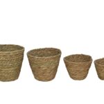 CONJ.4 CESTO NATURAL