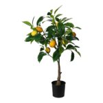PLANTA ARTIFICIAL- LIMOEIRO
