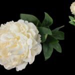 PEONIA ARTIFICIAL COR:BRANCA