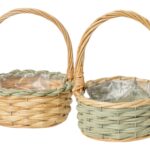 CESTA VIME C/ASA COR:SORTIDAS