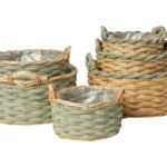 CONJ.3 CESTOS VIME C/PEGAS COR:SORTIDAS